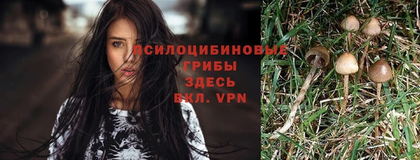 экстази Алексин