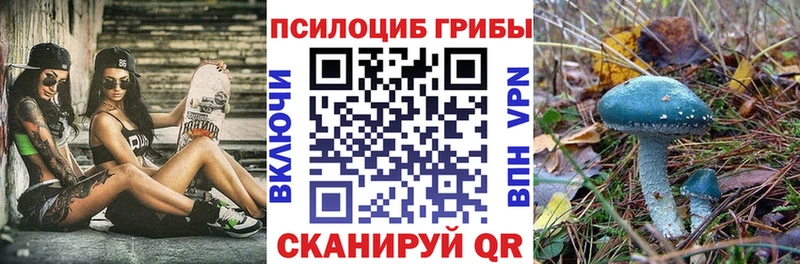 продажа наркотиков  Бирюч  Псилоцибиновые грибы Magic Shrooms 